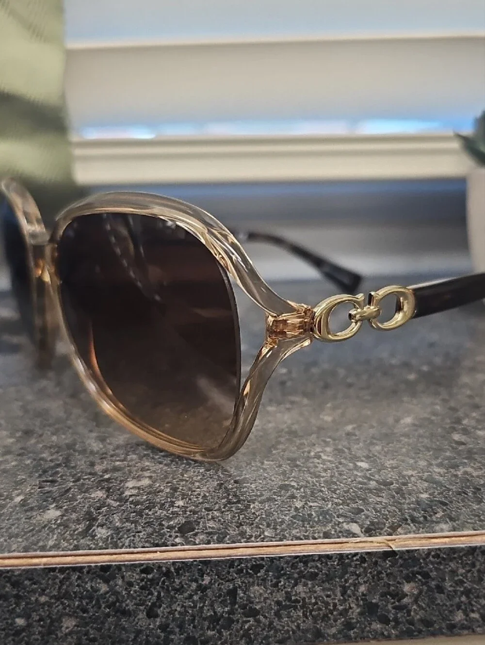 Coach Brown Gradient Oversized Women’s Sunglasses with Gold Accents HC 8145